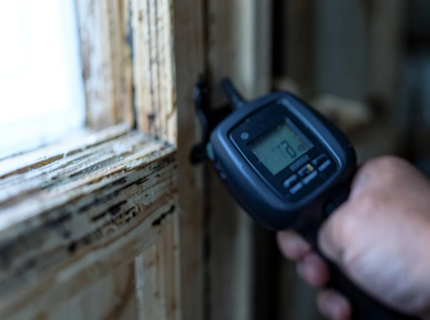 Moisture Inspection And Documentation in Gilman, IL